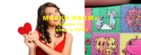 шишки Алзамай