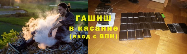шишки Алзамай