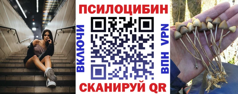 Галлюциногенные грибы Cubensis Грайворон