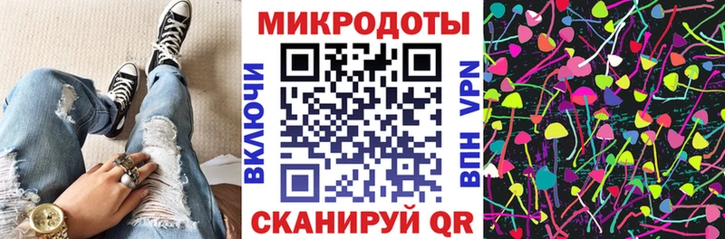 магазин продажи наркотиков  Грайворон  Псилоцибиновые грибы прущие грибы 